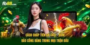 Cách Chấp Tiền Gà Chọi - Đảm Bảo Công Bằng Trong Mọi Trận Đấu