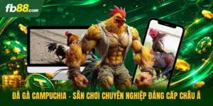 Đá Gà Campuchia - Sân Chơi Chuyên Nghiệp Đẳng Cấp Châu Á