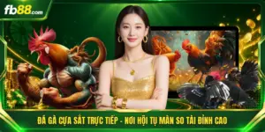 Đá Gà Cựa Sắt Trực Tiếp - Nơi Hội Tụ Màn So Tài Đỉnh Cao