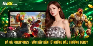 Đá Gà Philippines - Sức Hấp Dẫn Từ Những Đấu Trường Derby