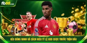 Kèo Đồng Banh Và Cách Hiểu Tỷ Lệ Odd Cược Trước Trận Đấu 