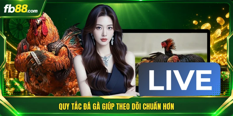 Đá Gà Cựa Sắt Trực Tiếp - Nơi Hội Tụ Màn So Tài Đỉnh Cao 2 Quy tắc đá gà giúp theo dõi chuẩn hơn