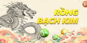 Soi Cầu Rồng Bạch Kim – Phương Pháp Bắt Số Từ Được Cao Thủ 