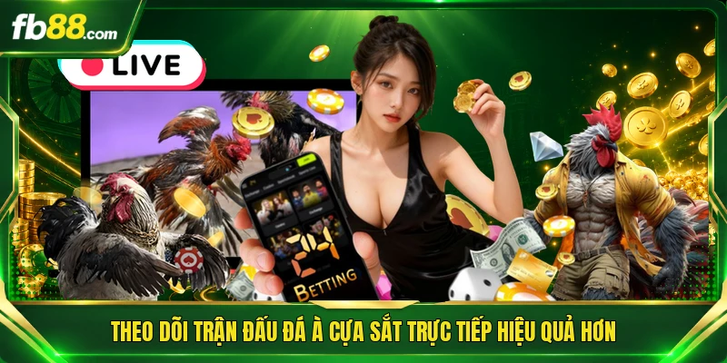 Đá Gà Cựa Sắt Trực Tiếp - Nơi Hội Tụ Màn So Tài Đỉnh Cao 3 Theo dõi trận đấu đá à cựa sắt trực tiếp hiệu quả hơn