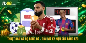 Thuật Ngữ Cá Độ Bóng Đá - Giải Mã Ký Hiệu Của Bảng Kèo