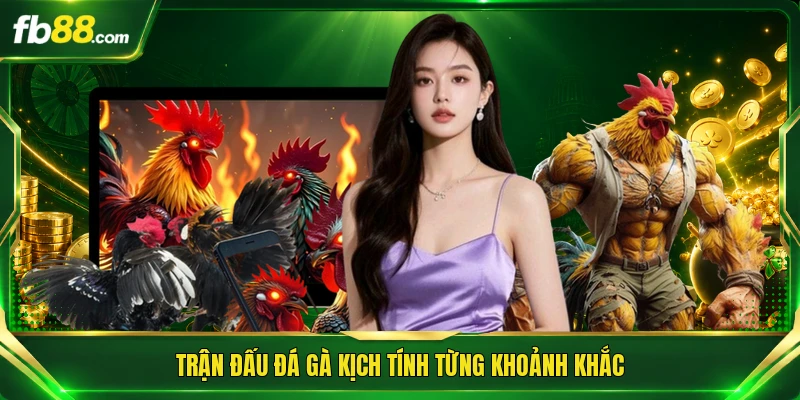 Đá Gà Cựa Sắt Trực Tiếp - Nơi Hội Tụ Màn So Tài Đỉnh Cao 1 Trận đấu đá gà kịch tính từng khoảnh khắc