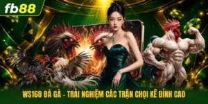 Ws168 Đá Gà - Trải Nghiệm Các Trận Chọi Kê Đỉnh Cao