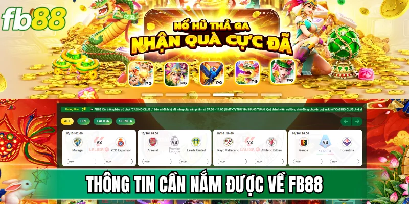 Thông tin cần nắm được về FB88